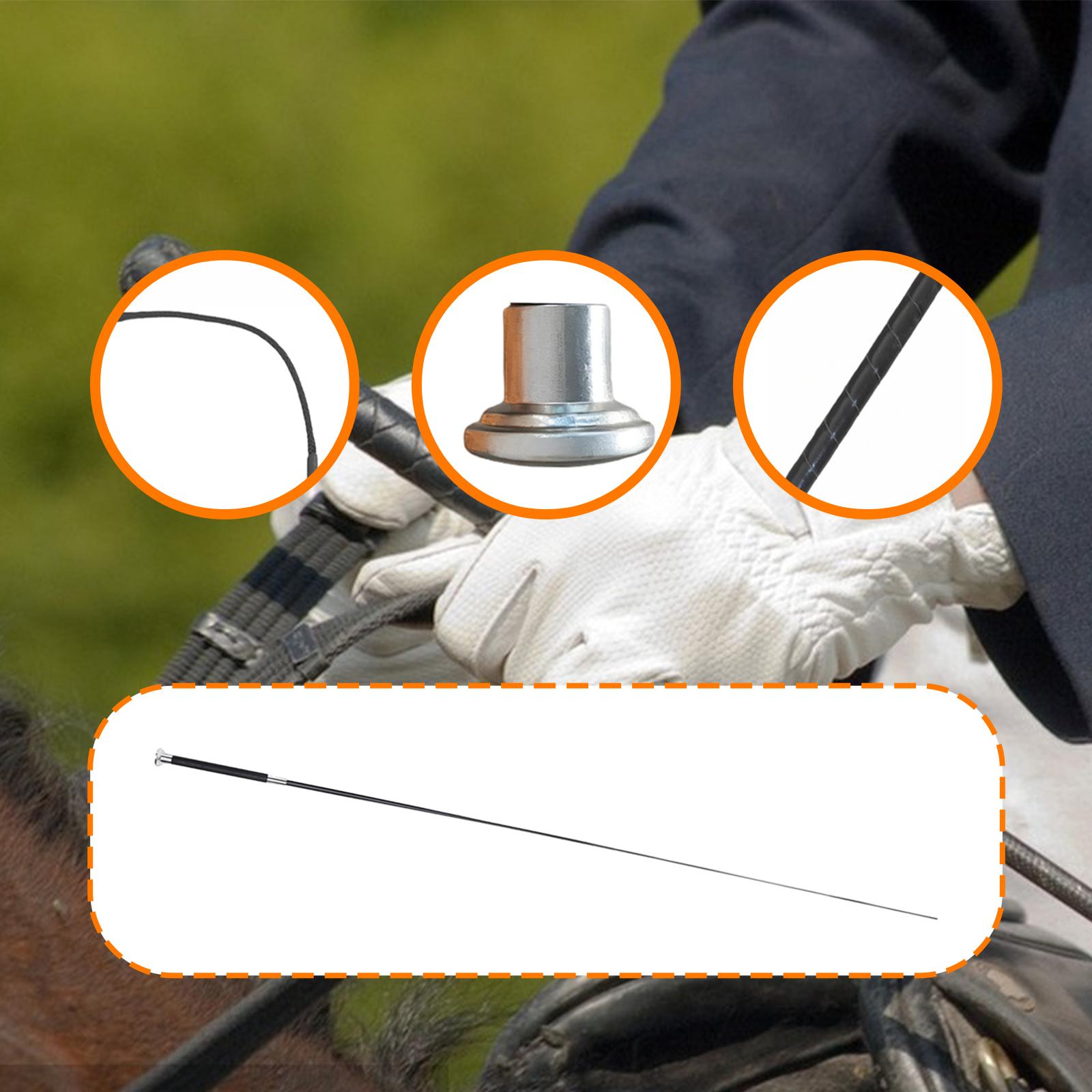 Metal Nylon PU Riding Crop Tel - Riding Crop Dressage ulasan dan harga
