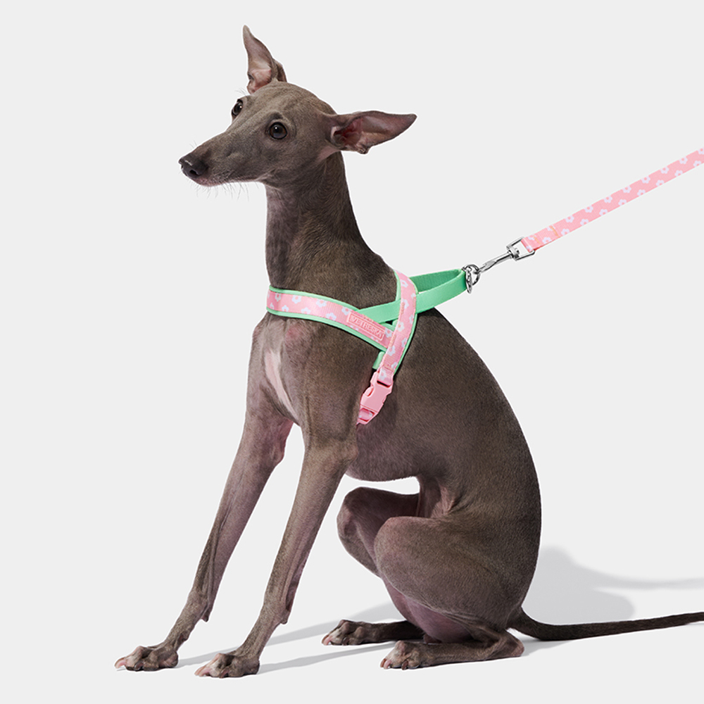 Luxury Pet Chest Strap Tractio - Headcollar Rope Set ulasan dan harga
