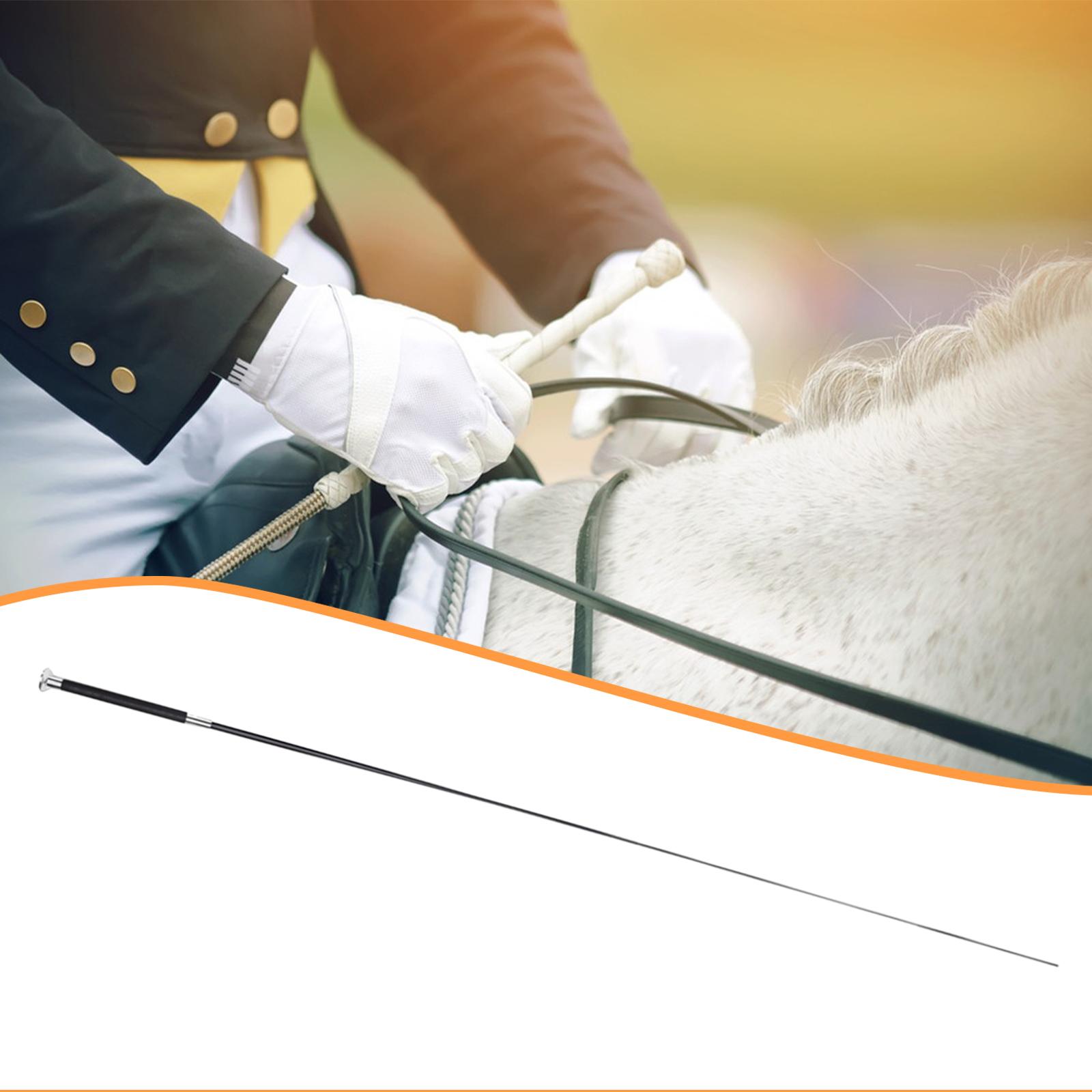Equestrian Horse Riding Crop W - Riding Crop Dressage ulasan dan harga