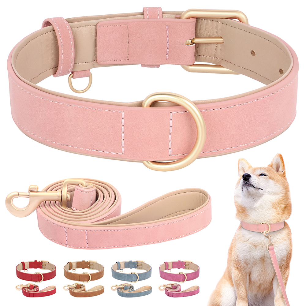 Soft Padded Dog Collar Leash S - Headcollar Rope Set ulasan dan harga