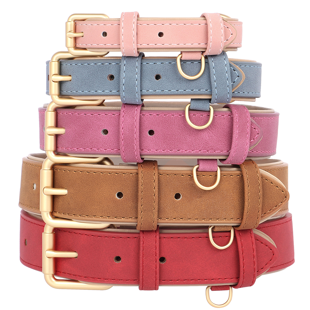 Soft Padded Dog Collar Leash S - Headcollar Rope Set ulasan dan harga